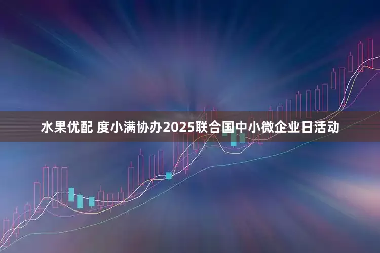 水果优配 度小满协办2025联合国中小微企业日活动