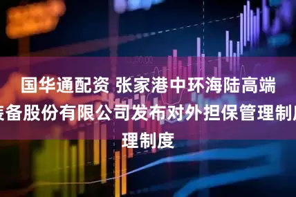 国华通配资 张家港中环海陆高端装备股份有限公司发布对外担保管理制度