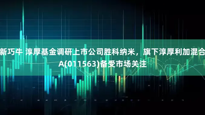 新巧牛 淳厚基金调研上市公司胜科纳米，旗下淳厚利加混合A(011563)备受市场关注